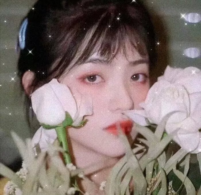 村里来了个直播女神